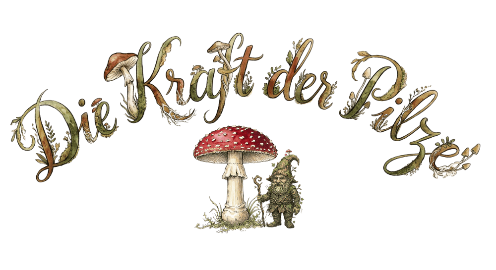 Die Kraft der Pilze Schriftzug