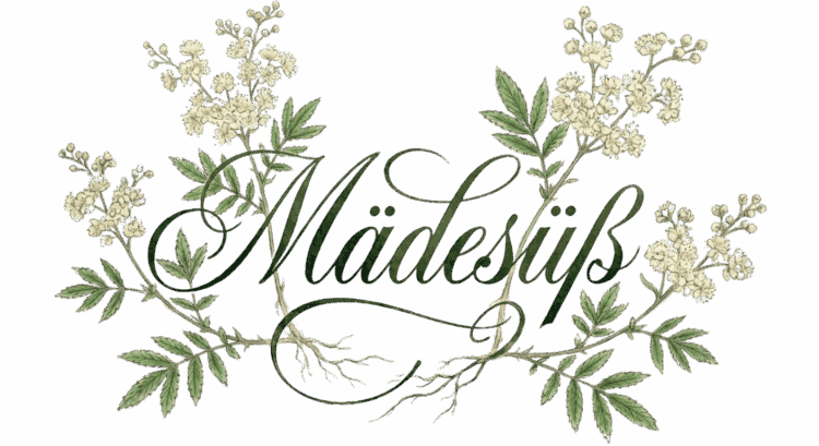 Künstlerischer Schriftzug „Mädesüß“, umrahmt von fein gezeichneten Blütenständen, gefiederten Blättern und angedeuteten Wurzeln auf hellem, papierartigem Hintergrund.