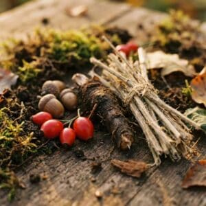 Erdige Nahaufnahme der Herbsternte auf Holz: Rote Hagebutten, Eicheln, dunkle Wurzelstücke und ein Bündel trockene Brennnessel-Fasern für das Handwerk.