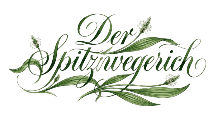Der Schriftzug „Der Spitzwegerich“ in eleganter, grüner Kalligraphie auf weißem Hintergrund. Die geschwungenen Buchstaben sind kunstvoll mit den typischen lanzenförmigen Blättern und kleinen Blütenständen der Pflanze verziert.