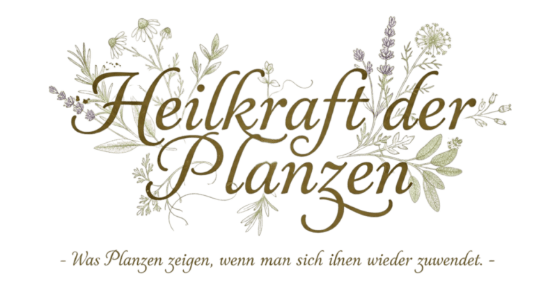 Kunstvoller Schriftzug „Heilkraft der Pflanzen“ mit feinen botanischen Illustrationen, Sinnbild für die Rückbesinnung auf pflanzliches Wissen
