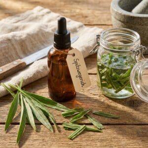 Spitzwegerich 6 Eine braune Apothekerflasche mit Pipette und dem handschriftlichen Schild „Spitzwegerich“. Daneben ein Glas mit Alkohol-Ansatz, in dem grüne Blätter ziehen.