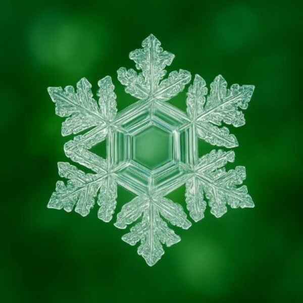 Makroaufnahme einer symmetrischen Schneeflocke als Wasserkristall vor grünem Hintergrund