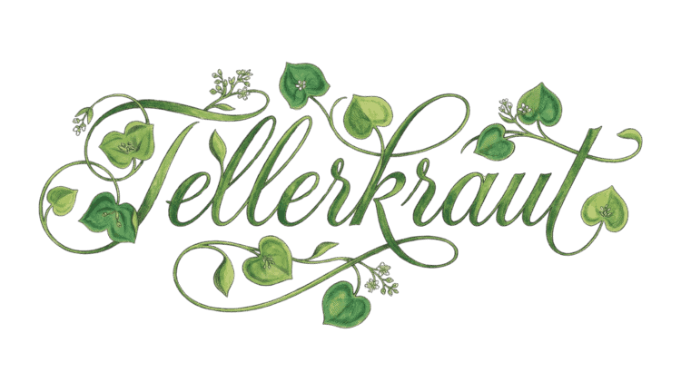 Verspielter Tellerkraut Schriftzug mit Zeichnungen der charakteristischen runden Blätter auf transparentem Hintergrund.
