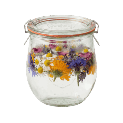 Ein verschlossenes Einmachglas gefüllt mit klarem Wasser und darin schwimmenden, farbenfrohen Heilblüten wie Ringelblumen, Kornblumen und Kamille zur Herstellung eines natürlichen Pflanzenauszugs.